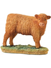 Highland Calf (light)