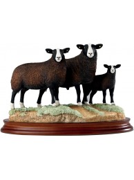Zwartble Ram Ewe & Lamb