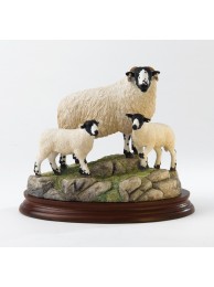 Rough Fell Ewe & Lambs