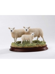 Texel Ram Ewe And Lamb