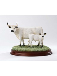 White Park Cow & Calf