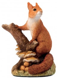 Secret Store Bfa Members Kits