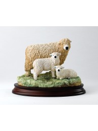 Greyface Dartmoor Ewe & Lambs