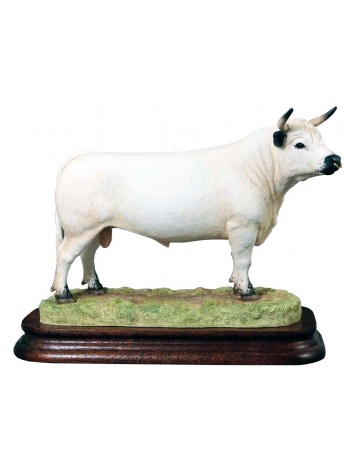 White Park Bull