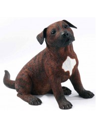 Staffordshire Bull Terrier Brindle