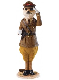Meerkat Monty