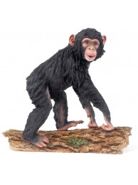 Chimp Walking On Log