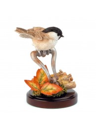 Marsh Tit On Drawer Handle