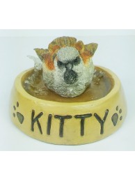 House Sparrow In Bowl