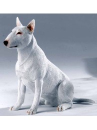 English Bull Terrier Sitting