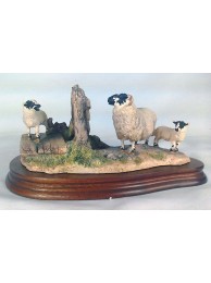 Wrong Side Of The Fence