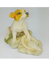 Patch (brown And White)