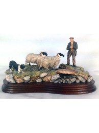 Steady Lad Steady Was £375