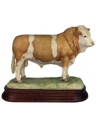 Simmental Bull Issued 1979