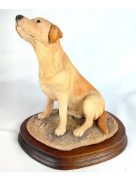 Yellow Labrador