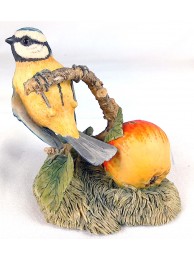 Blue Tit On Apple