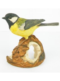 Great Tit On Coconut