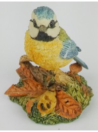 Autumn Blues (blue Tit)